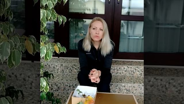 Пересадка клубники осенью смотреть онлайн