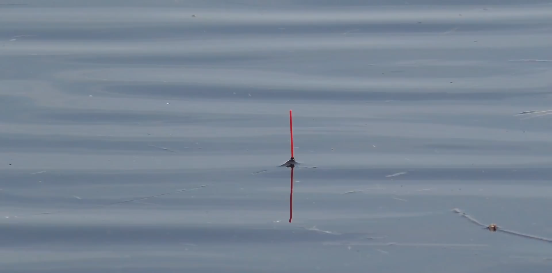 Только закинул поплавок и сразу потащило. Рыбалка смотреть онлайн