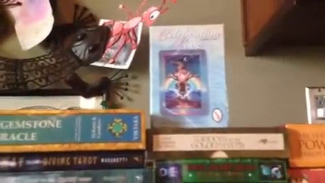 Akashic Inspirations Complete list of tarot and oracle card decks смотреть онлайн