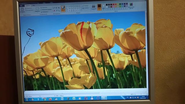 Показываешь как сделать фотографию в painty смотреть онлайн