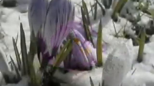 Айтыына Уран. НЬУРГУҺУННАР смотреть онлайн