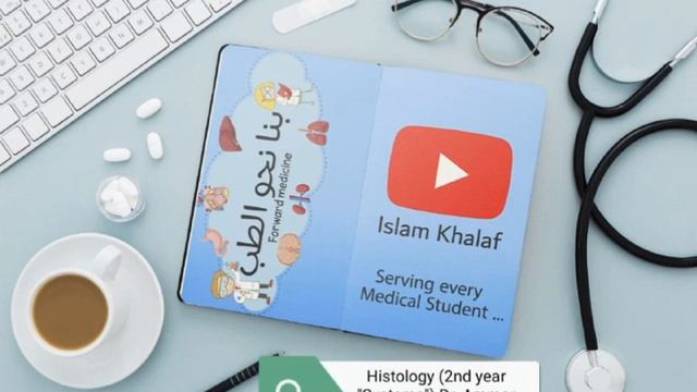 Histology (2nd year "Systems") Dr. Ammar - GIT (6) смотреть онлайн