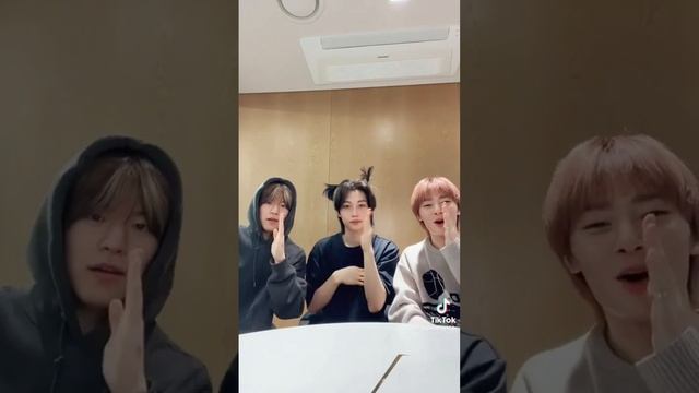 THE HAIRSTYLE OF FELIX GONE CUTEEE #straykids k-sloverb смотреть онлайн