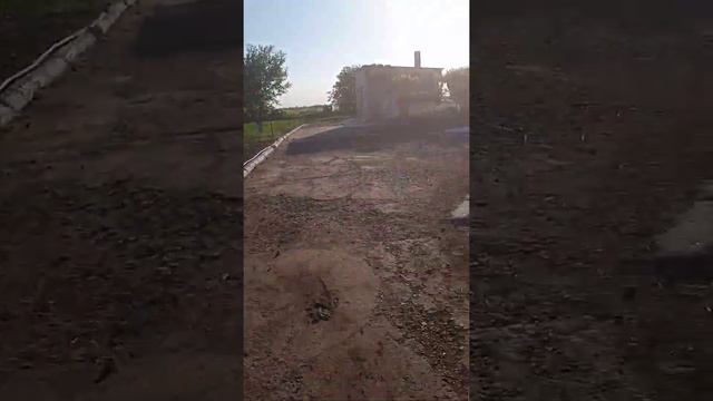 Пчелы в лесу на акации, а я на роботе.... смотреть онлайн