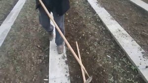 Садово огородный инструмент   Испытание плоскореза Тяни толкай.