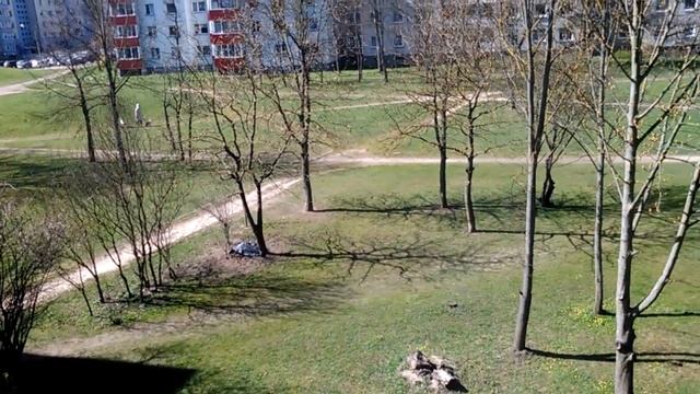 Пасха католическая 2020. смотреть онлайн