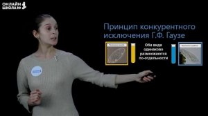 Местообитание и экологические ниши. Видеоурок 19. Биология 11 класс