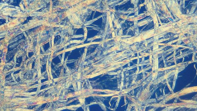 Chemical pulping process | Wikipedia audio article смотреть онлайн