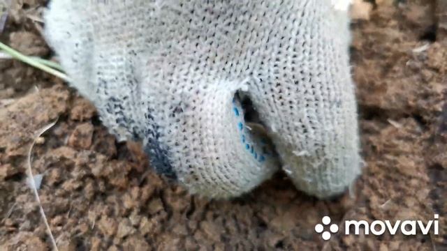 УДАЧНЫЙ КОП!!! ИЛИ СЧАСТЛИВЫЙ СЛУЧАЙ??? смотреть онлайн