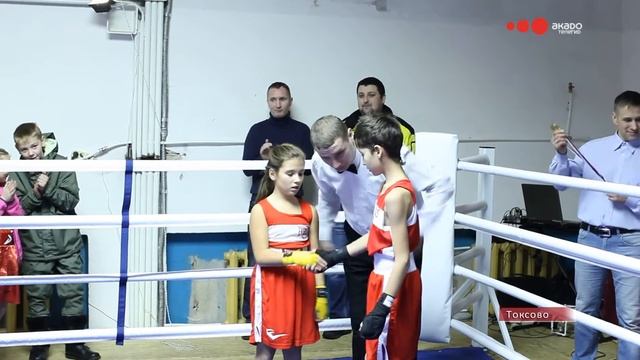Турнир по боксу Рапполовская перчатка смотреть онлайн