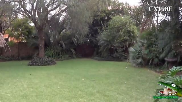 $25 Ebay Camera VS Sony CX190E смотреть онлайн