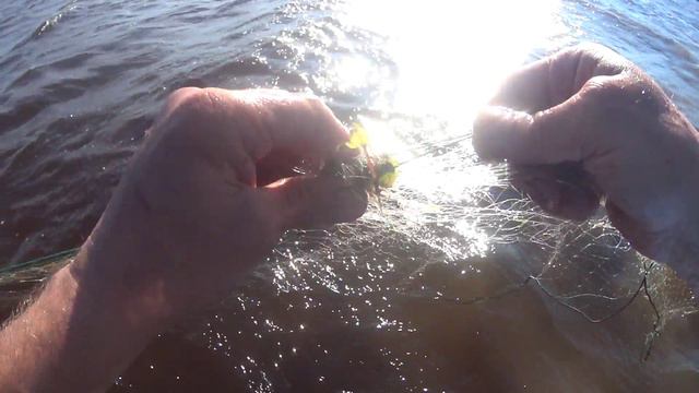 Про камбалу! ВЕТЕР СИЛЬНЫЙ РЫБЫ ПОПАЛО смотреть онлайн