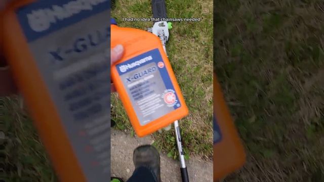 EGO Power+ Electric Pole Saw смотреть онлайн