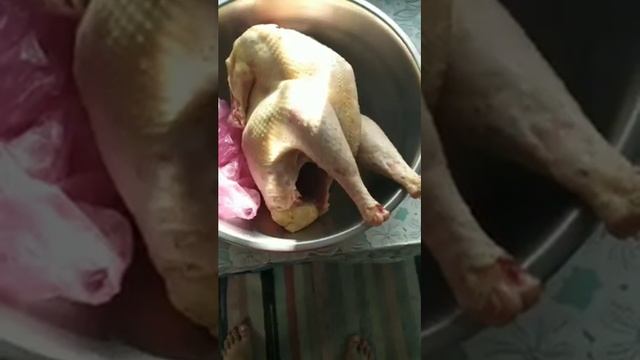 Начало забоя индюков Вес тушки в возросте шести месяцев. смотреть онлайн