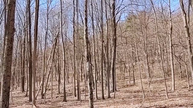 Metacomet Trail Rock N Roll Hiking Adventure