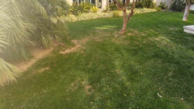 Lara Barut Collection 5* или немного турецкого Лакшери зимой , январь 2023 года смотреть онлайн