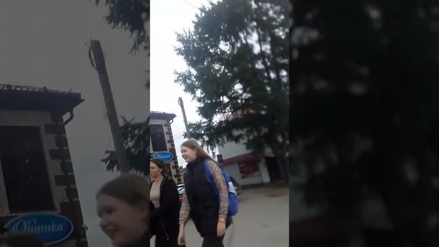 пестово новгородская облась 2022 год