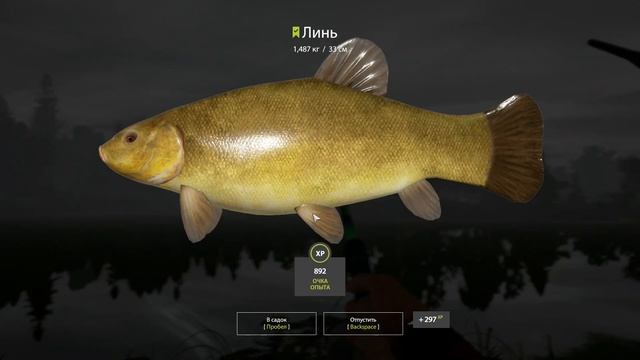 ЛИНЬ НА ОЗЕРЕ СТАРЫЙ ОСТРОГ - РУССКАЯ РЫБАЛКА 4 смотреть онлайн