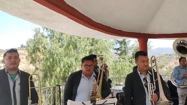 Polka de Trombon смотреть онлайн