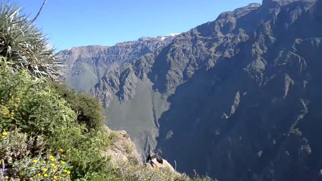 Перу.каньон Колка (день 6) 6.9 (12.05.2014) смотреть онлайн