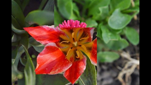 Тип мои фотки для канала тип... смотреть онлайн