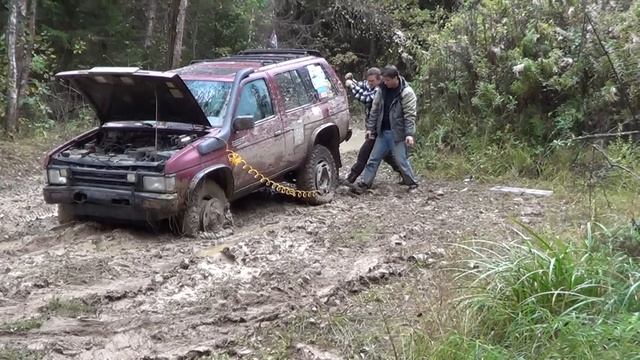 За грибами в Москве (сентябрь 2012г.) смотреть онлайн