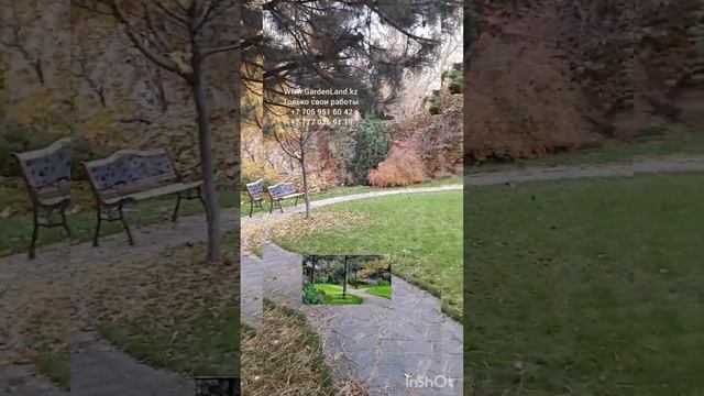 Гортензия крупнолистная Бесконечное лето осенью. смотреть онлайн