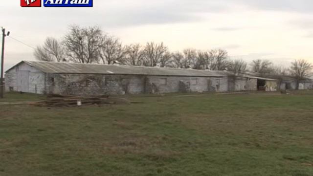 Сельхозтоваро производители осваивают первичную обработку сырья смотреть онлайн