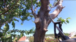 САБЕЛЬНАЯ ПИЛА САМЫЙ УНИВЕРСАЛЬНЫЙ ИНСТРУМЕНТ