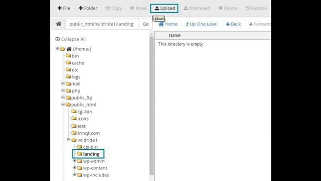 Мировое древо - что это? смотреть онлайн