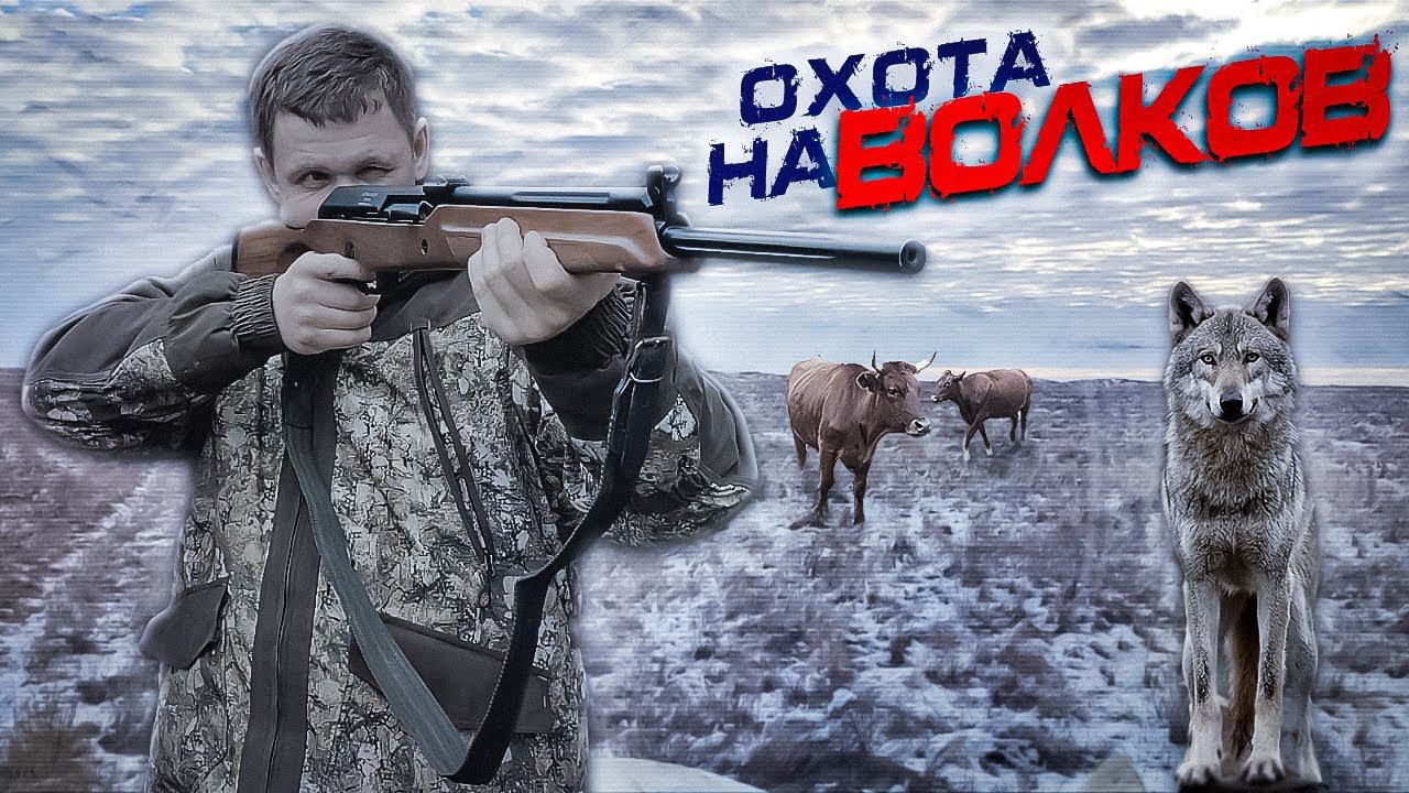 охота на волков .стая ВОЛКОВ режет скот.wolfsjagd.wolf hunting смотреть онлайн