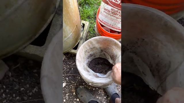 Olomana Gardens compost tea maker flowing into the aquaponics system. смотреть онлайн