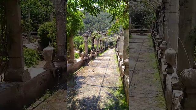 JARDINES DE LA ALFABIA,PALMA DE MALLORCA. смотреть онлайн