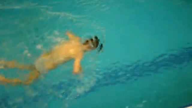 Butterfly technique. Обучение плаванию детей в Киеве смотреть онлайн