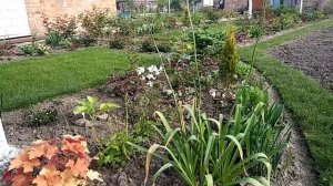 Посев газона это просто. Ошибки при посеве газонной травы.