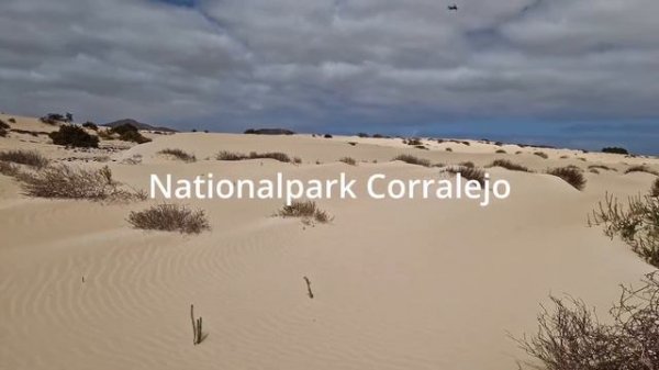 FUERTEVENTURA | ФУЭРТЕВЕНТУРА - БИОСФЕРНЫЙ ЗАПОВЕДНИК | КАНАРСКИЕ ОСТРОВА | ОСТРОВ СИЛЬНЫХ ВЕТРОВ |