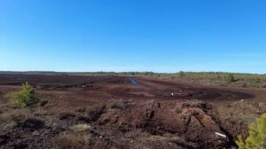 Торф в природе и его добыча.