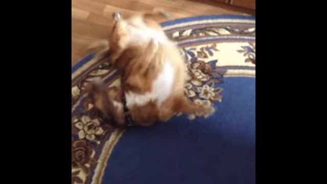 Самоучитель нижнего брейка. смотреть онлайн