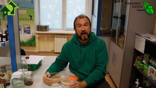 8 ПРАВИЛ ВЫРАЩИВАНИЯ МИКРОЗЕЛЕНИ ДЛЯ НОВИЧКОВ! ВИТАМИННЫЙ ОГОРОД КРУГЛЫЙ ГОД! смотреть онлайн
