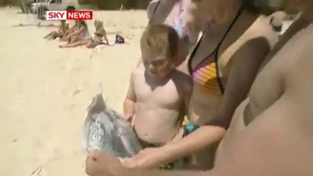 ГИГАНСКАЯ АКУЛА ПРЕКУИЛА ПОЛАМ БЕЛУЮ/MONSTER SHARK BITES GREAT WHITE IN HALF смотреть онлайн