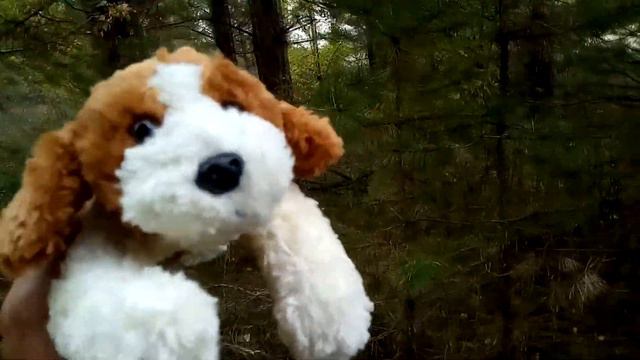 Siberian Expeditions, да иди ты лесом! Отдых с палатками в Калиновке. Алтай. смотреть онлайн