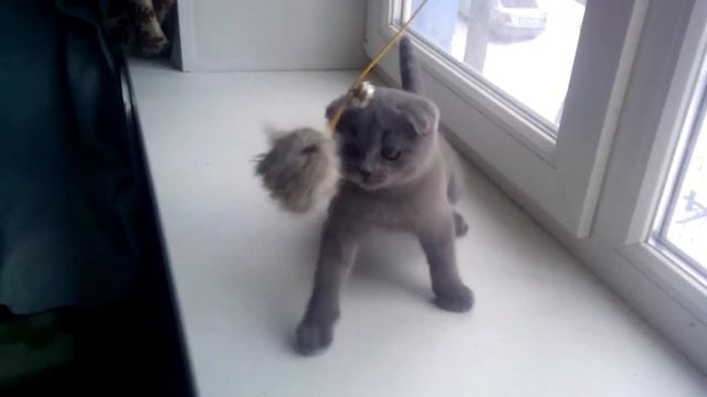 Мон-Сен-Мишель SFS a -клубный смотреть онлайн