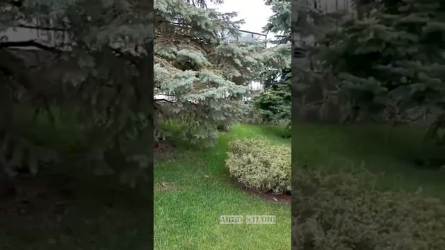 На территории Свято-Георгиевского женского монастыря. Ессентуки, ноябрь 2022 смотреть онлайн