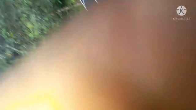 2500VA SOLAR INVERTOR INSTALATION