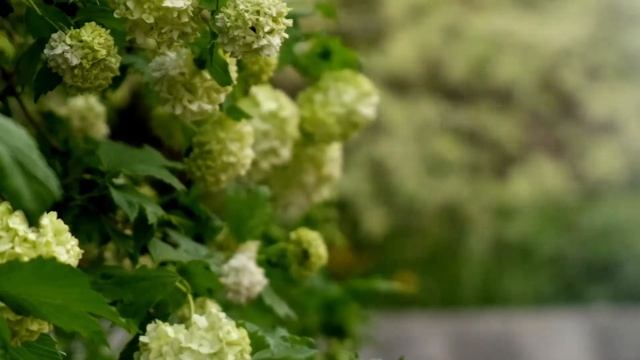 Поздравление с Днем города+ 29FPS смотреть онлайн