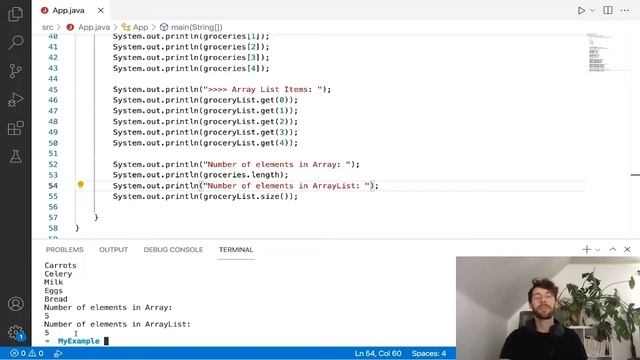 Introduction to Java ArrayList (Dynamic Arrays) смотреть онлайн