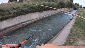 Рыбалка в Дагестане. Охота на голавля. Село Ботаюрт. Река Юзбаш.