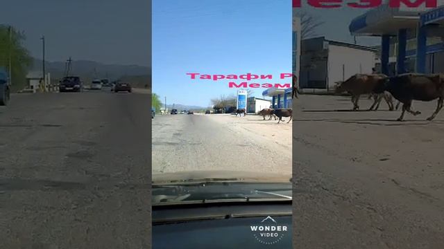 Город Яван дехаи саркамиш смотреть онлайн
