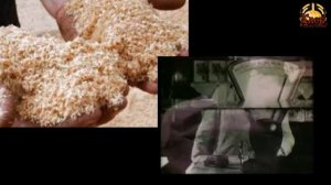 Познавательная беседа «Хлеб - всему голова!»