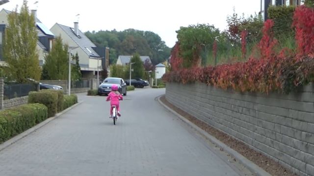 Велопед это велоход с педалями